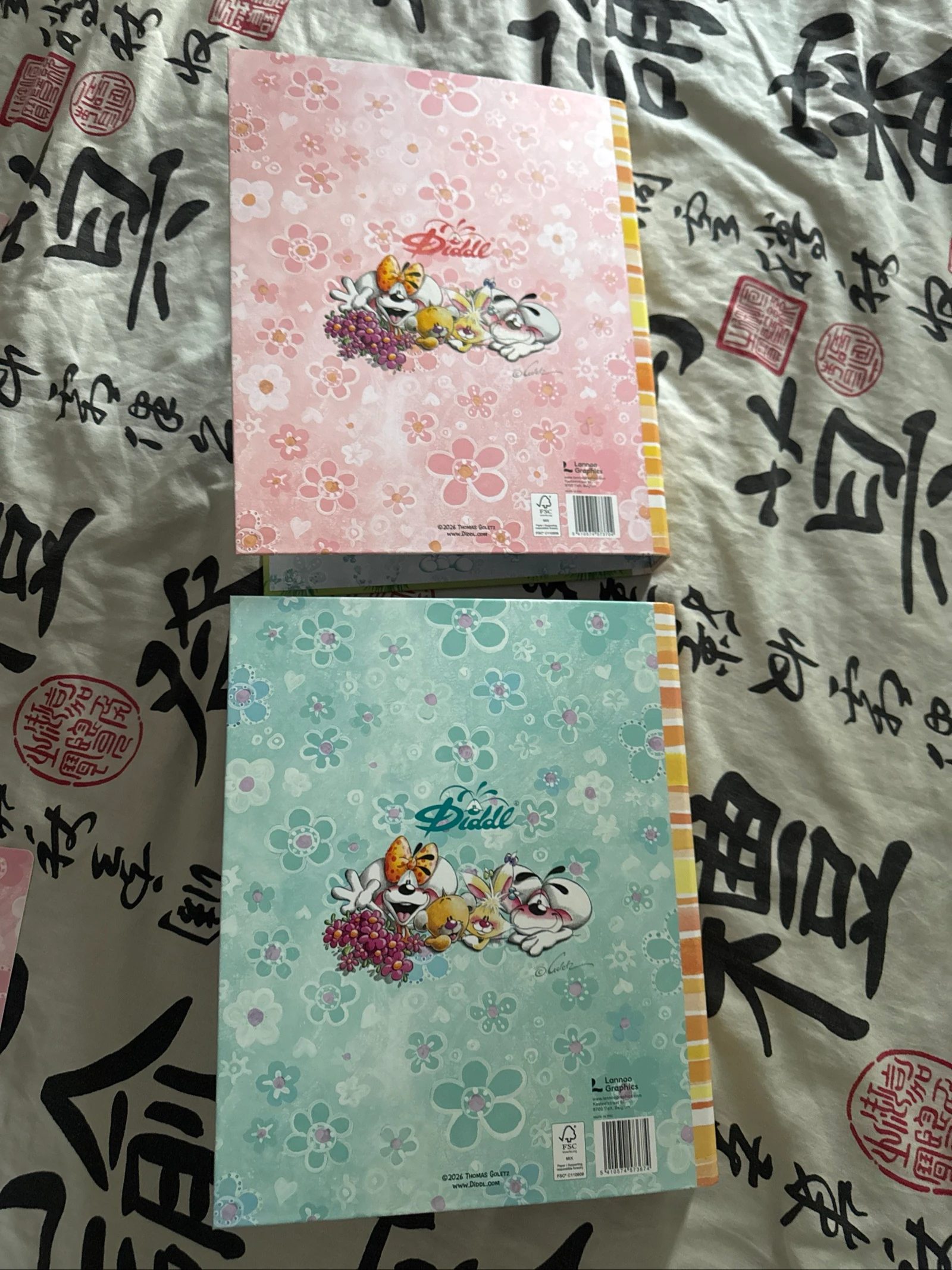 2 mapas capa dura diddl – photo 3